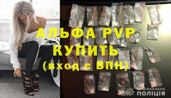 PSILOCYBIN Зерноград