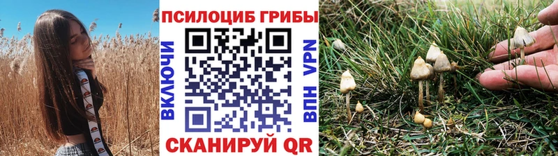 Галлюциногенные грибы Psilocybine cubensis  Купить закладки  Котельнич 