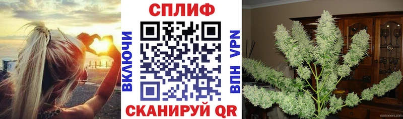 Марихуана семена  Купить  Котельнич 